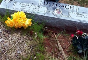 James (JIMMY) Deloach James (JIMMY) Deloach