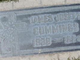 James Joseph Cummings