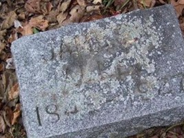 James K Allen