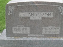 James L Anderson