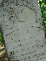 James L. Blevins James L. Blevins