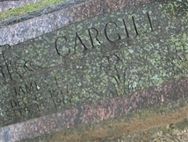 James L. Cargill James L. Cargill