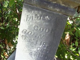 James L Cook James L Cook