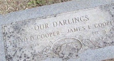 James L. Cooper