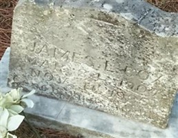 James L. Cox