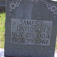 James L Davidson James L Davidson