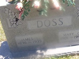 James L Doss James L Doss
