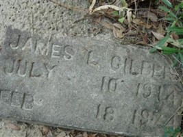 James L. Gilbert James L. Gilbert