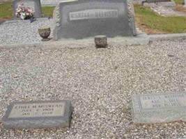 James L. Mathison James L. Mathison