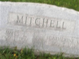 James L Mitchell