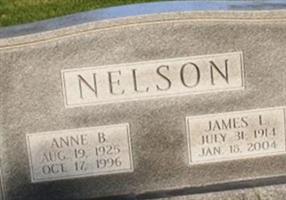 James L Nelson