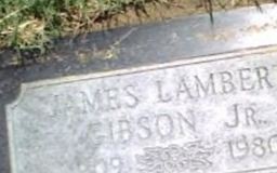 James Lambert Gibson, Jr James Lambert Gibson, Jr