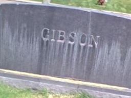 James Lambert Gibson, Jr James Lambert Gibson, Jr