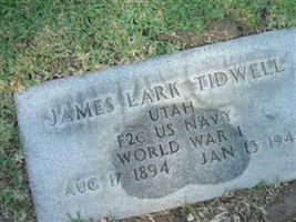 James Lark Tidwell James Lark Tidwell