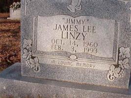 James Lee Linzy