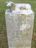 James Lester Brien