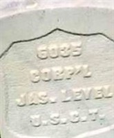 Corp James Level Corp James Level
