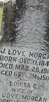 James Love Morgan