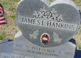 James Loyal Hankins