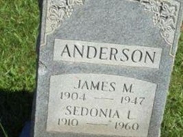 James M Anderson James M Anderson