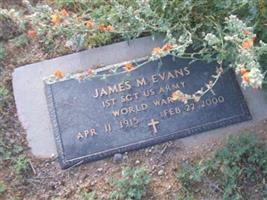 James M Evans