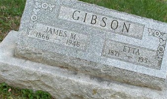 James M Gibson James M Gibson