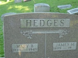James M Hedges