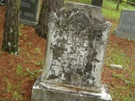 James M Lee