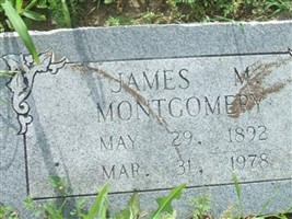 James M Montgomery