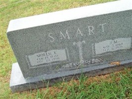 James M. Smart James M. Smart