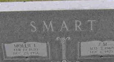 James M. Smart James M. Smart