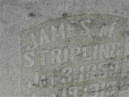 James M Stripling James M Stripling