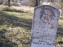 James M Wilkes