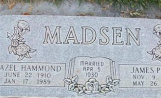 James Madsen