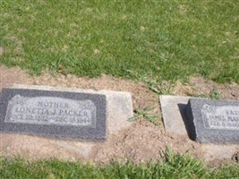 James Manuel Packer