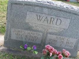 James Martin Ward