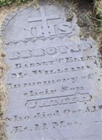James McWilliams
