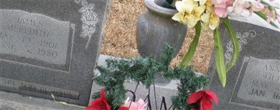 James Meredith Adams James Meredith Adams