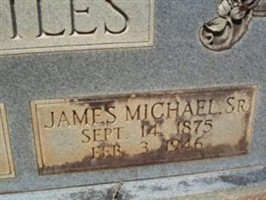 James Michael Nettles, Sr James Michael Nettles, Sr