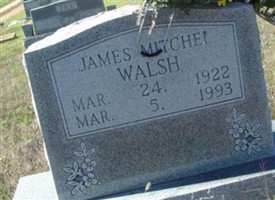 James Mitchel Walsh James Mitchel Walsh