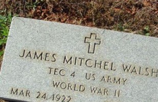 James Mitchel Walsh James Mitchel Walsh