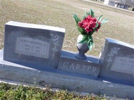 James Monroe Carter, Jr