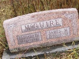 James Monroe McGuire
