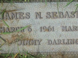 James N. Sebastian James N. Sebastian