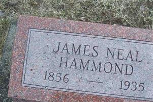 James Neal Hammond