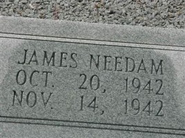 James Needam Danner