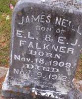 James Neill Falkner