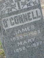 James OConnell