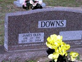 James Olen Downs