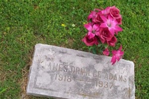 James Orville Adams